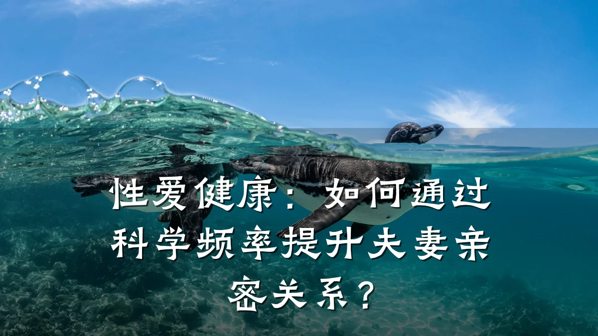 性爱健康:如何通过科学频率提升夫妻亲密关系?