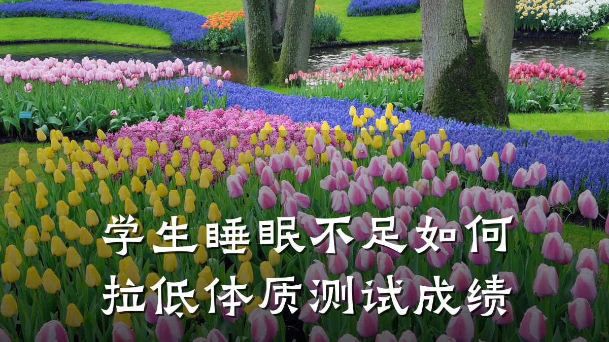 学生睡眠不足如何拉低体质测试成绩