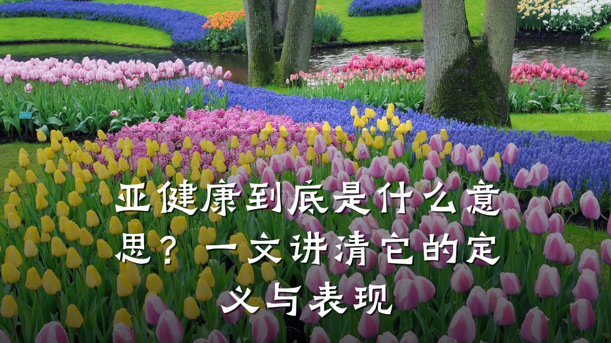 亚健康到底是什么意思?一文讲清它的定义与表现