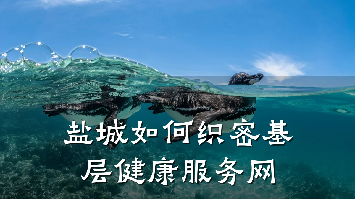 盐城如何织密基层健康服务网