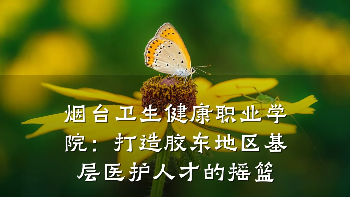 烟台卫生健康职业学院:打造胶东地区基层医护人才的摇篮