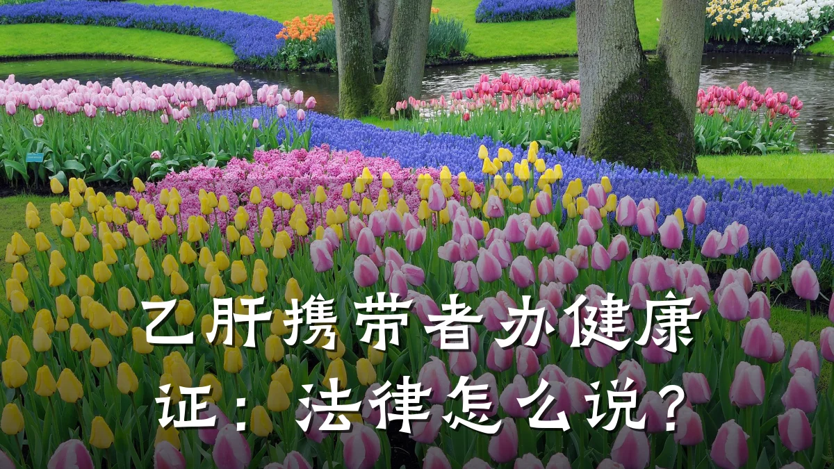 乙肝携带者办健康证:法律怎么说?