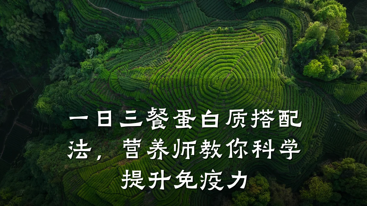 一日三餐蛋白质搭配法，营养师教你科学提升免疫力