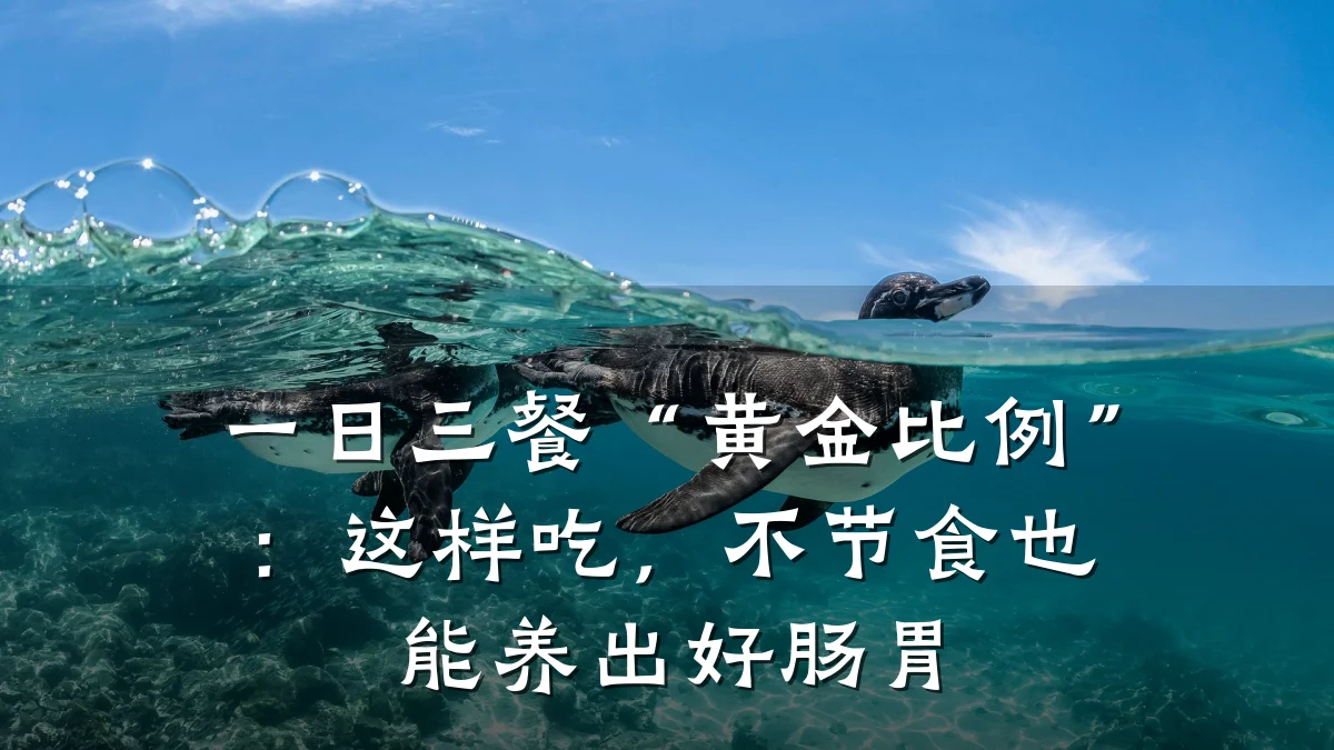 一日三餐“黄金比例”:这样吃,不节食也能养出好肠胃