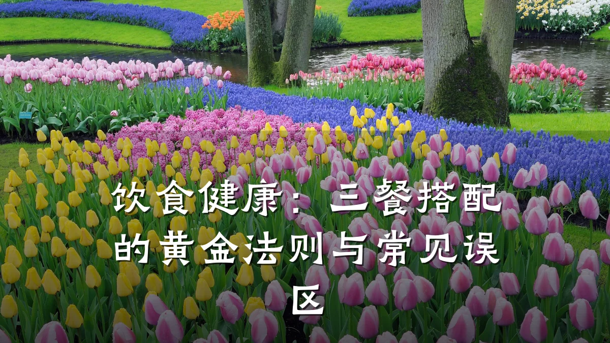饮食健康:三餐搭配的黄金法则与常见误区