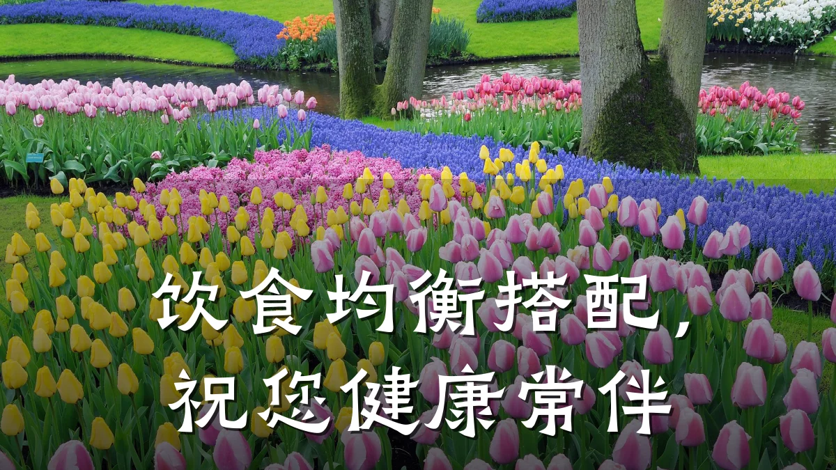 饮食均衡搭配,祝您健康常伴