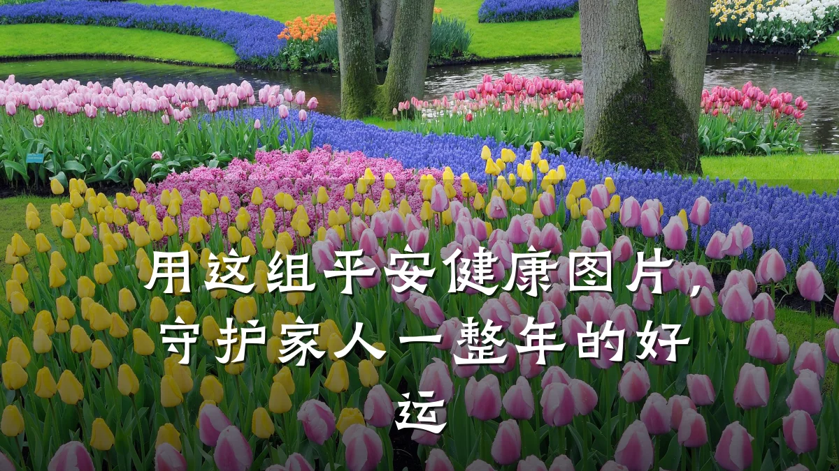 用这组平安健康图片,守护家人一整年的好运