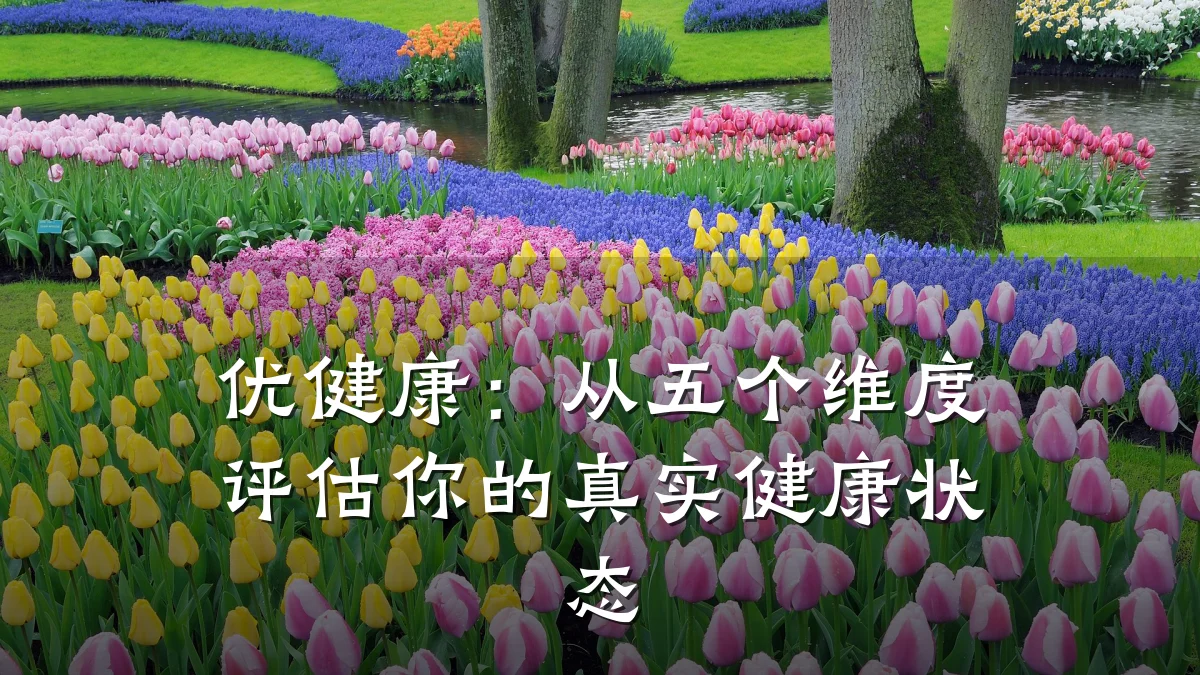 优健康:从五个维度评估你的真实健康状态