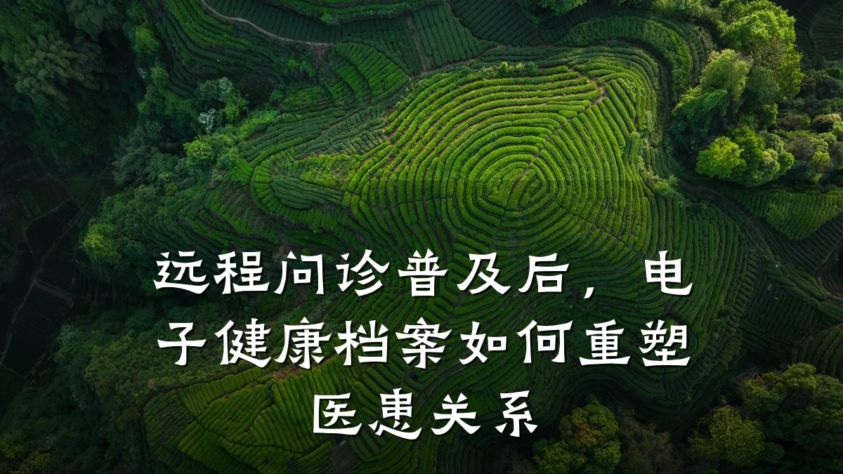 远程问诊普及后,电子健康档案如何重塑医患关系