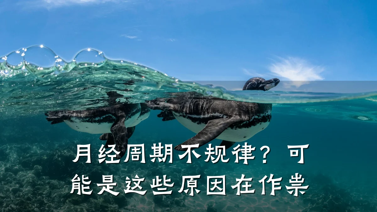 月经周期不规律?可能是这些原因在作祟