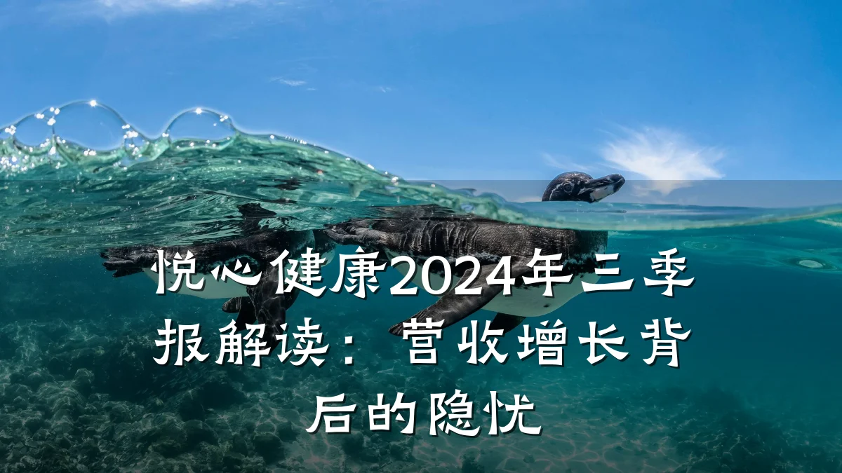 悦心健康2024年三季报解读:营收增长背后的隐忧