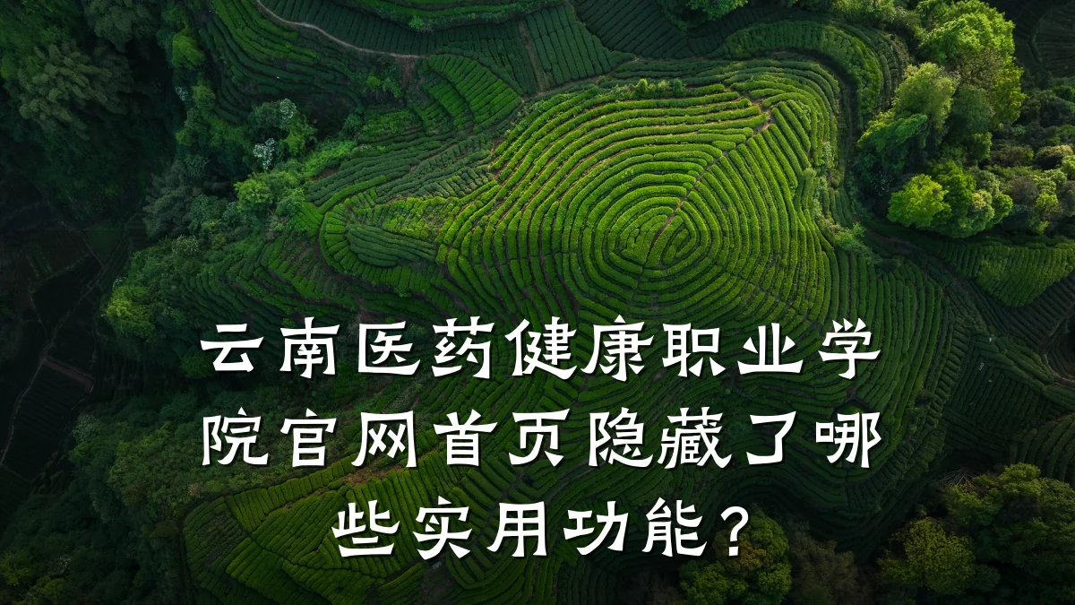 云南医药健康职业学院官网首页隐藏了哪些实用功能?