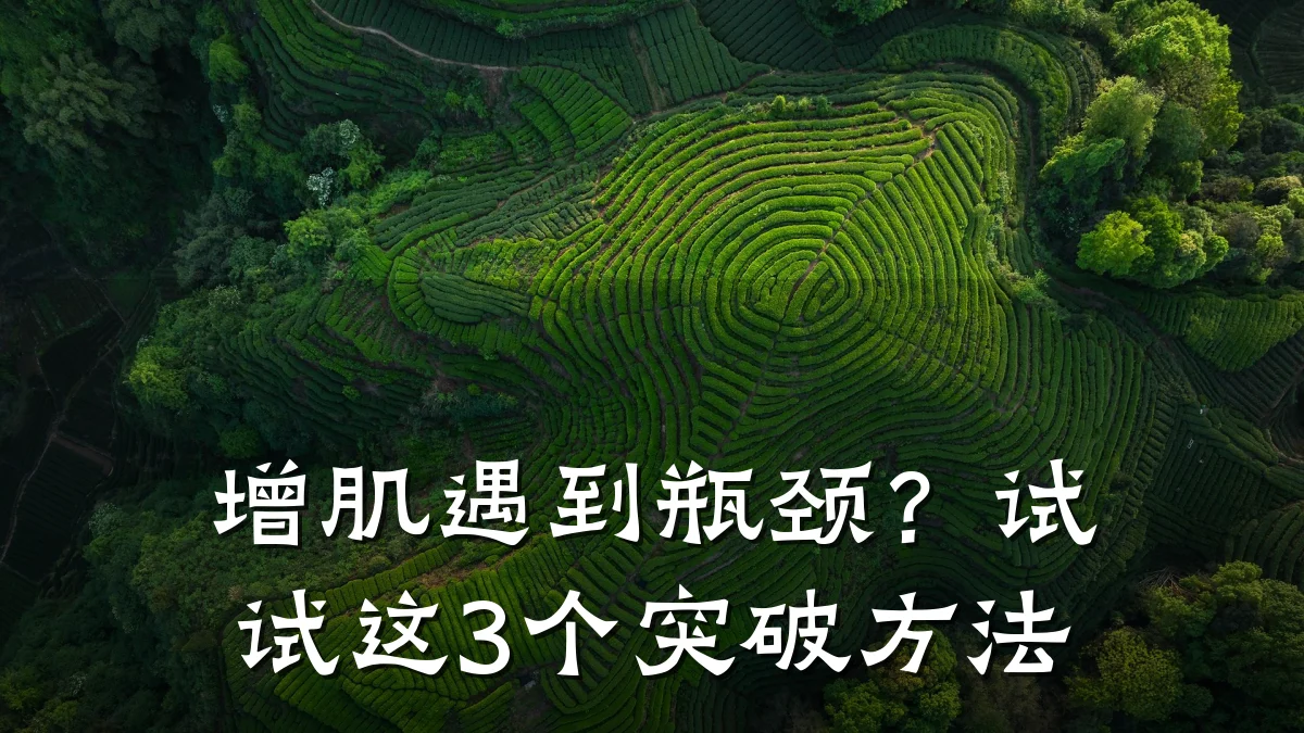 增肌遇到瓶颈?试试这3个突破方法
