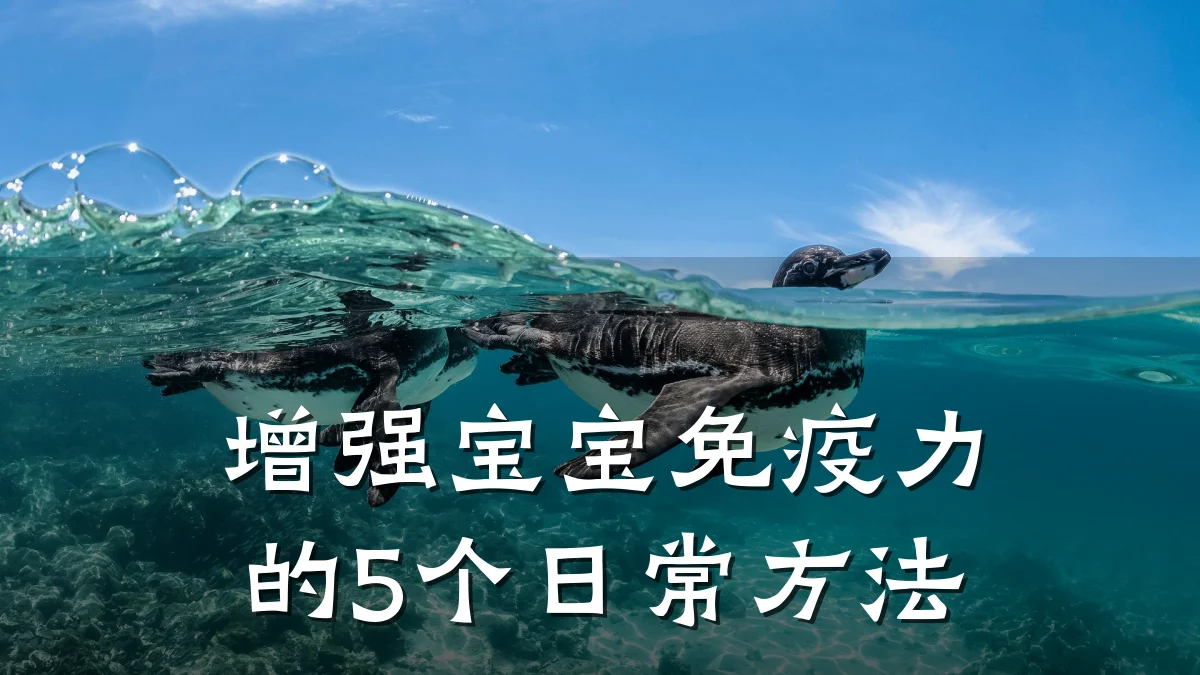 增强宝宝免疫力的5个日常方法