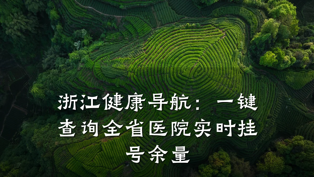 浙江健康导航:一键查询全省医院实时挂号余量