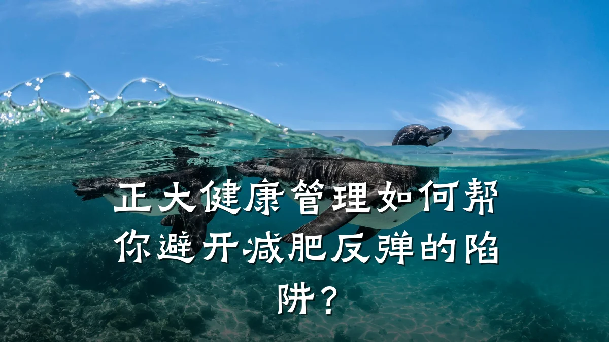 正大健康管理如何帮你避开减肥反弹的陷阱?