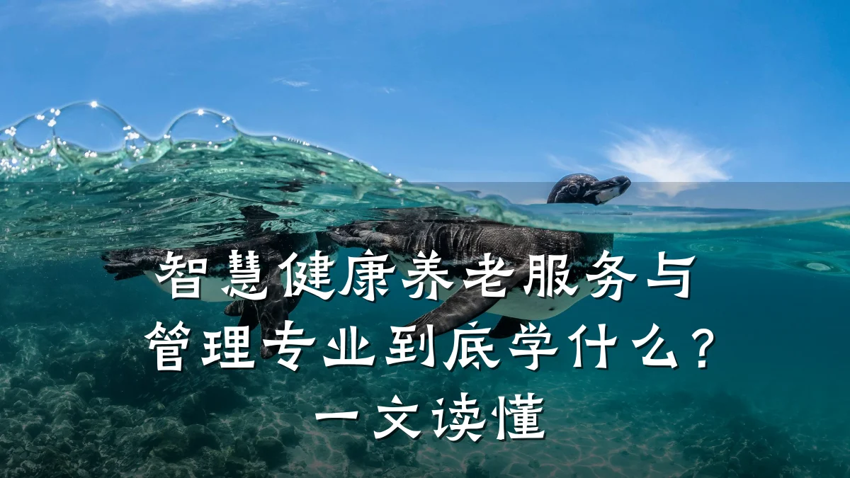 智慧健康养老服务与管理专业到底学什么?一文读懂