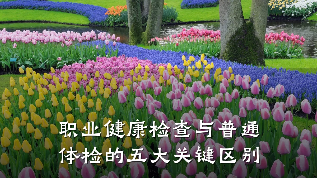 职业健康检查与普通体检的五大关键区别