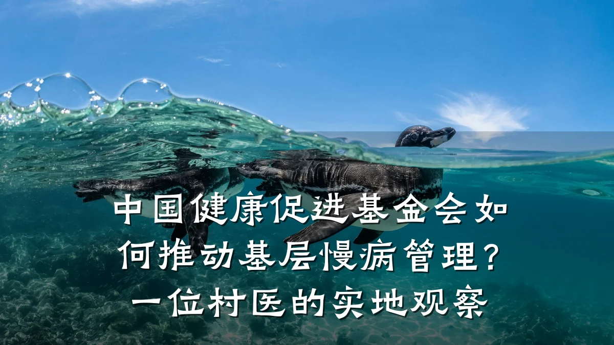 中国健康促进基金会如何推动基层慢病管理?一位村医的实地观察