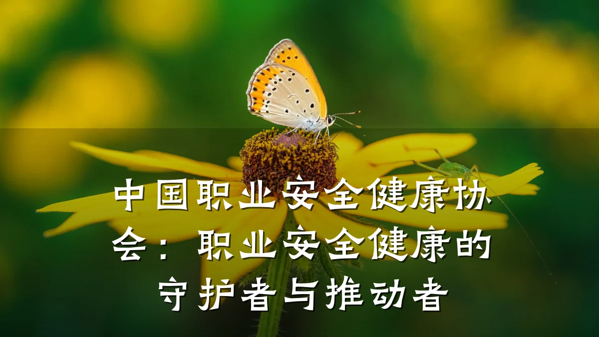 中国职业安全健康协会:职业安全健康的守护者与推动者