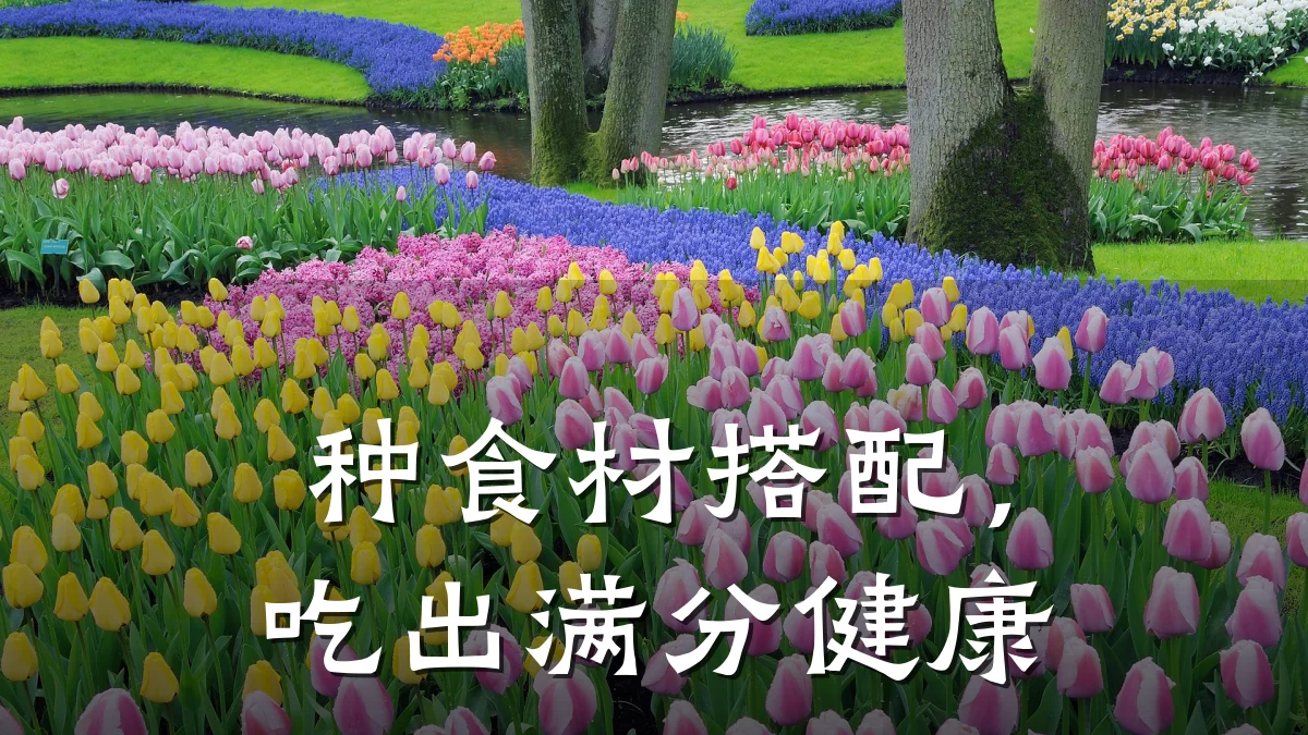 种食材搭配,吃出满分健康