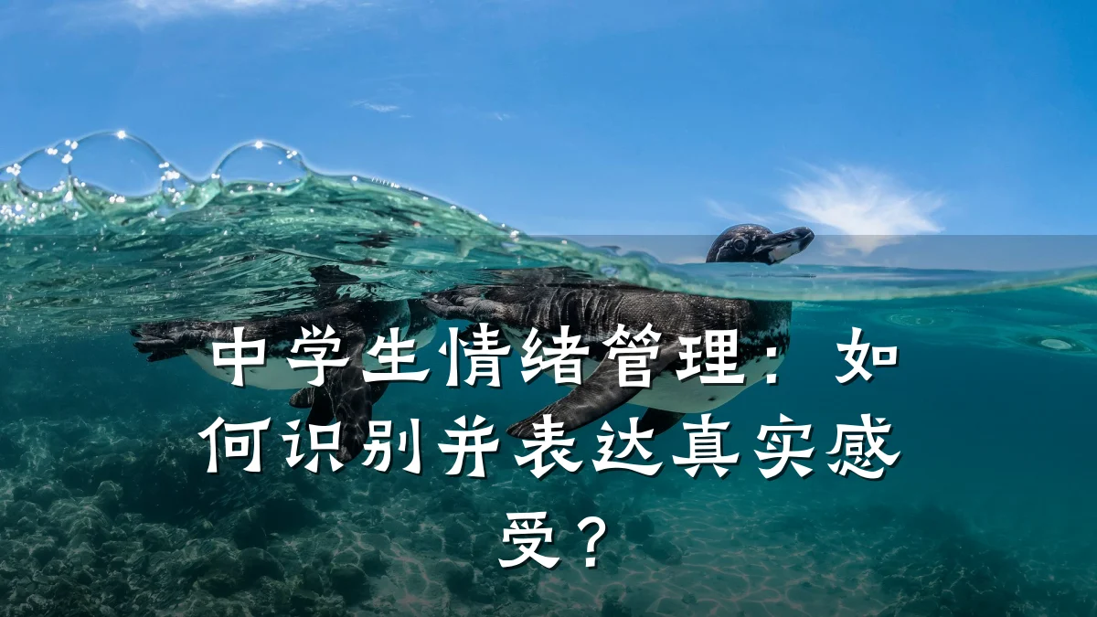 中学生情绪管理:如何识别并表达真实感受?