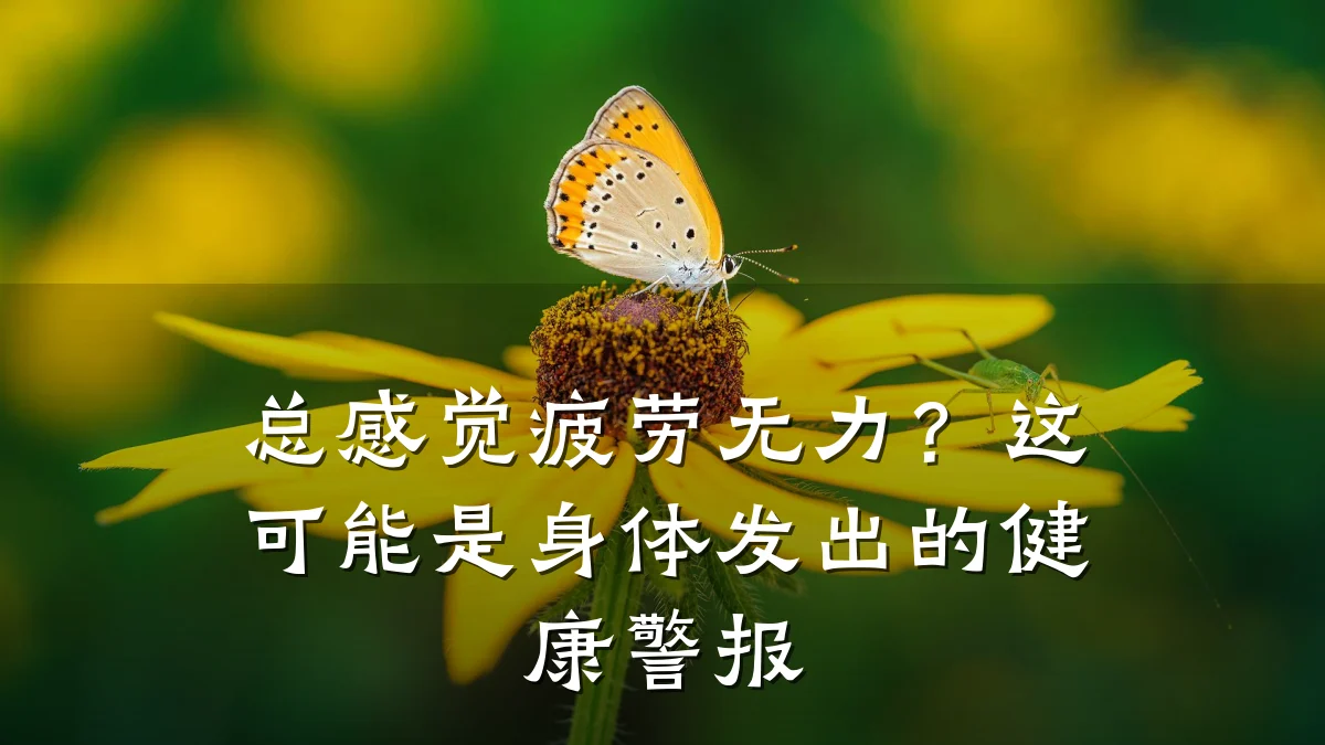 总感觉疲劳无力?这可能是身体发出的健康警报