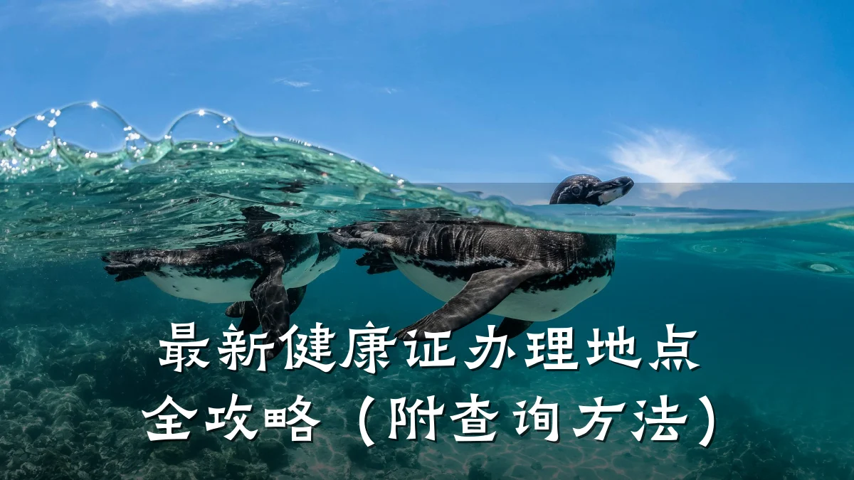 最新健康证办理地点全攻略(附查询方法)