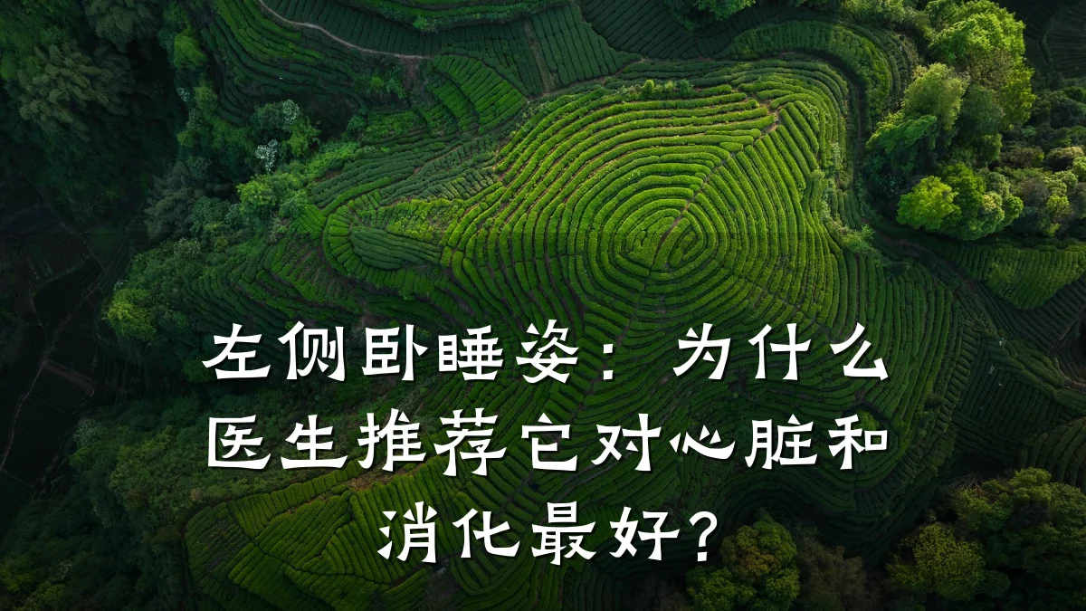 左侧卧睡姿:为什么医生推荐它对心脏和消化最好?
