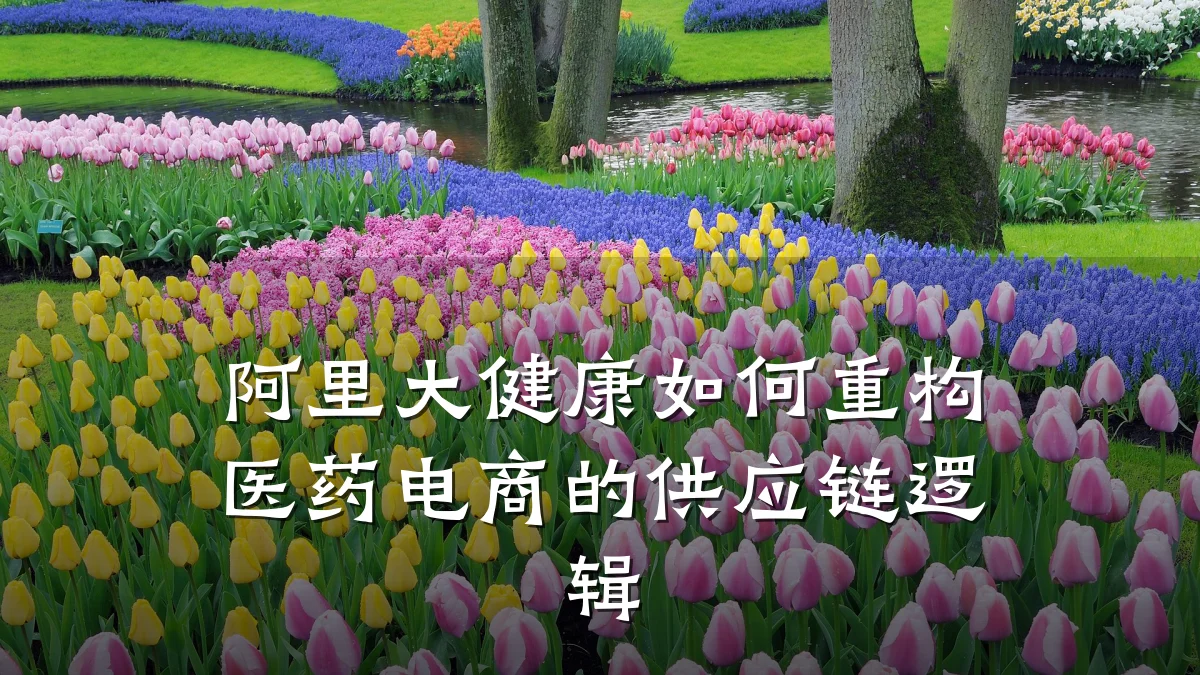 阿里大健康如何重构医药电商的供应链逻辑