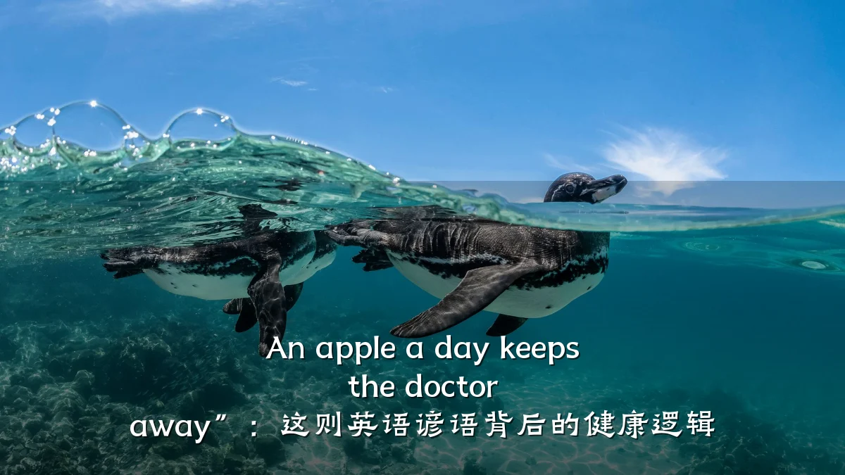 An apple a day keeps the doctor away”:这则英语谚语背后的健康逻辑