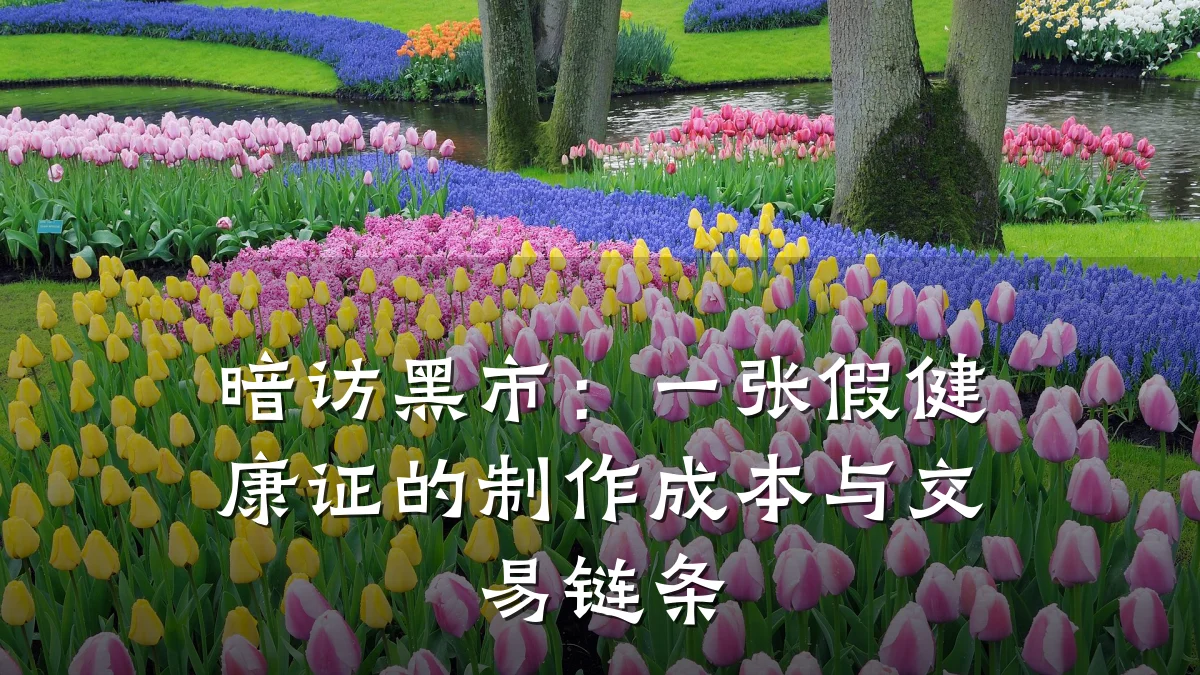 暗访黑市:一张假健康证的制作成本与交易链条