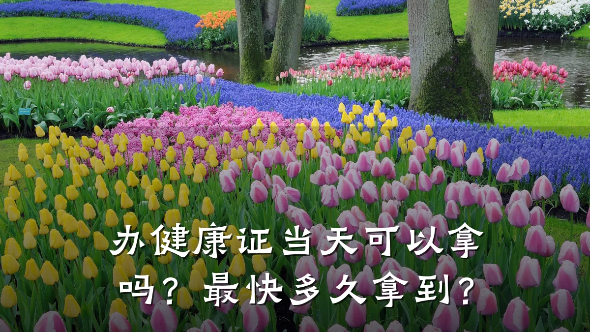 办健康证当天可以拿吗?最快多久拿到?