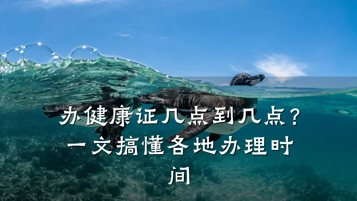 办健康证几点到几点?一文搞懂各地办理时间