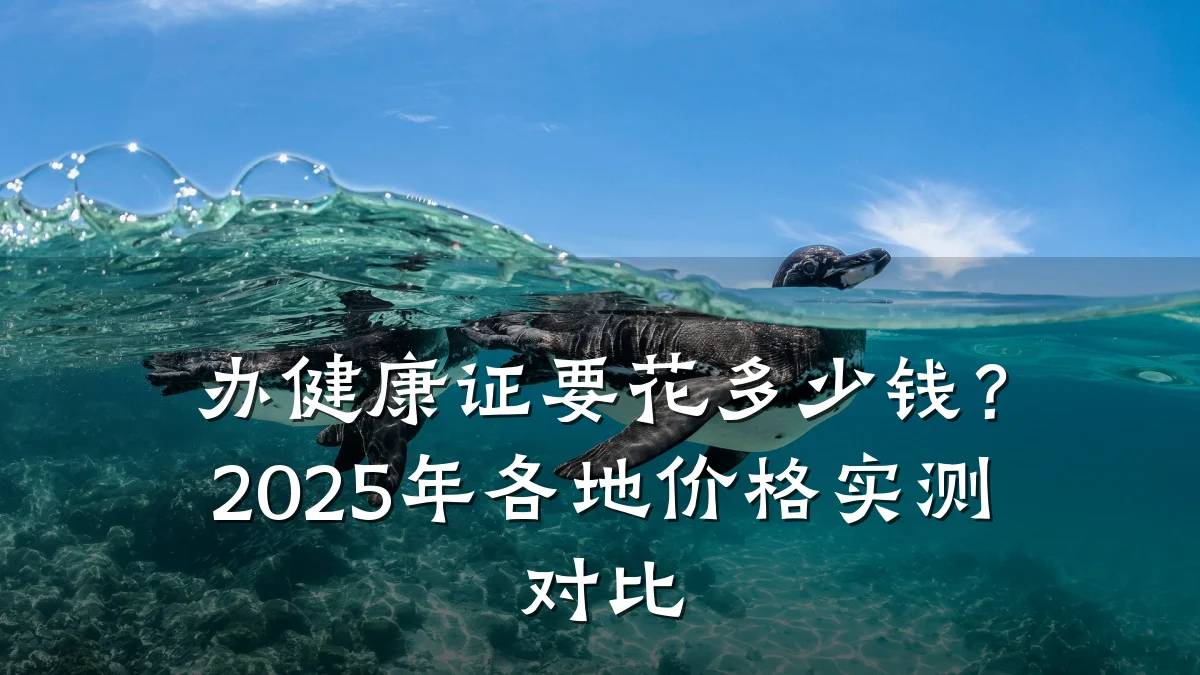 办健康证要花多少钱?2025年各地价格实测对比
