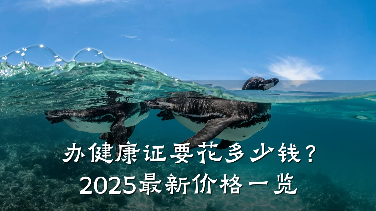 办健康证要花多少钱?2025最新价格一览