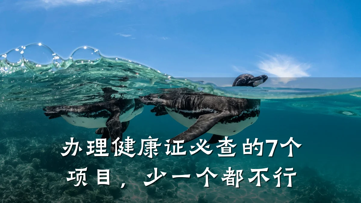 办理健康证必查的7个项目,少一个都不行