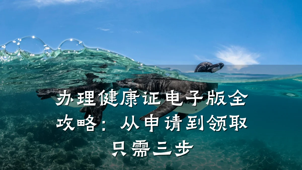 办理健康证电子版全攻略:从申请到领取只需三步