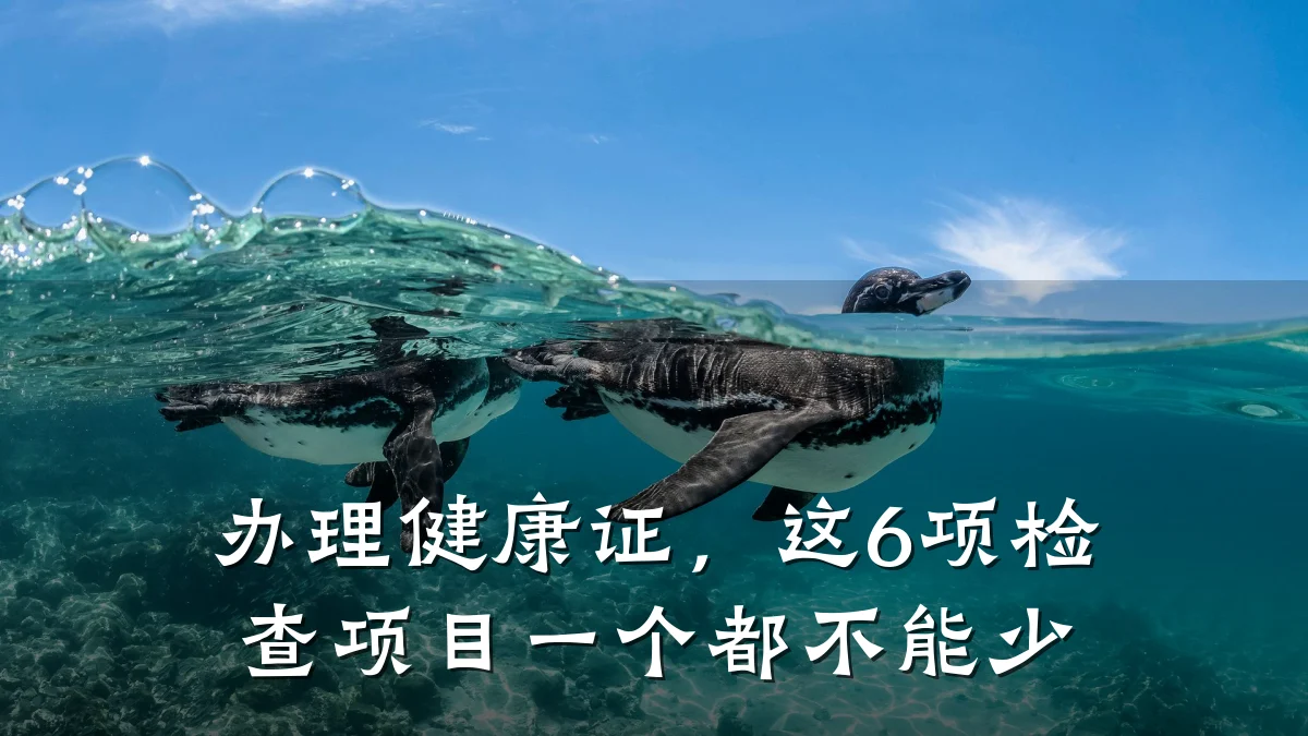 办理健康证,这6项检查项目一个都不能少