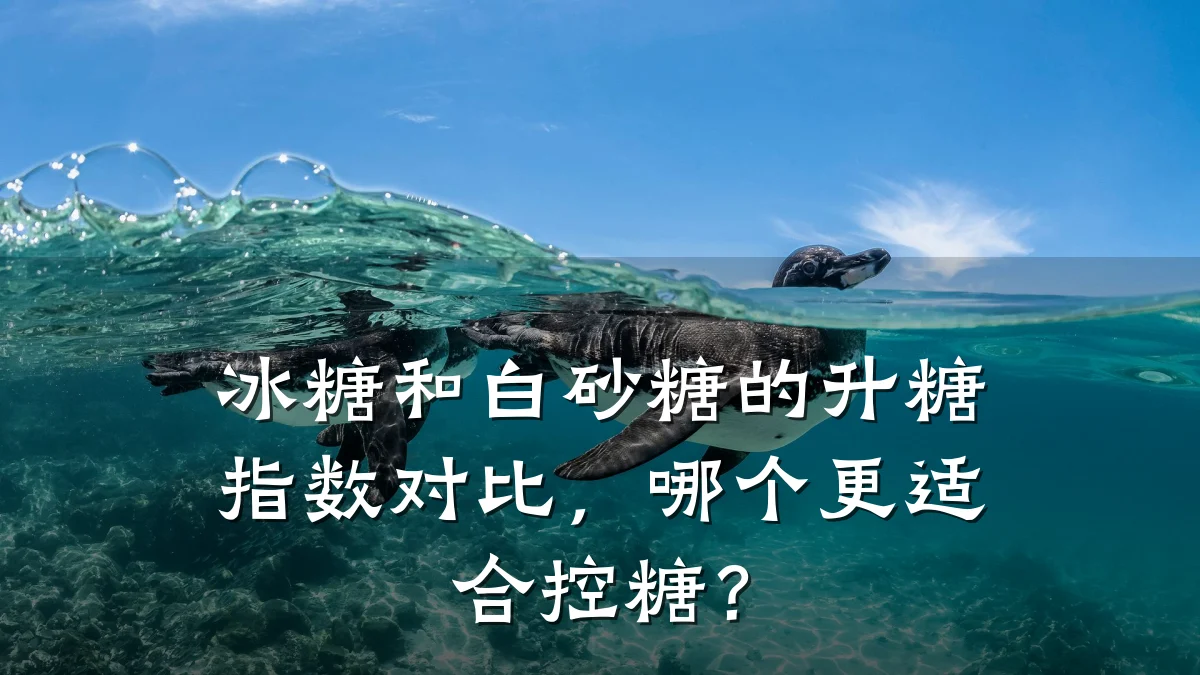 冰糖和白砂糖的升糖指数对比,哪个更适合控糖?