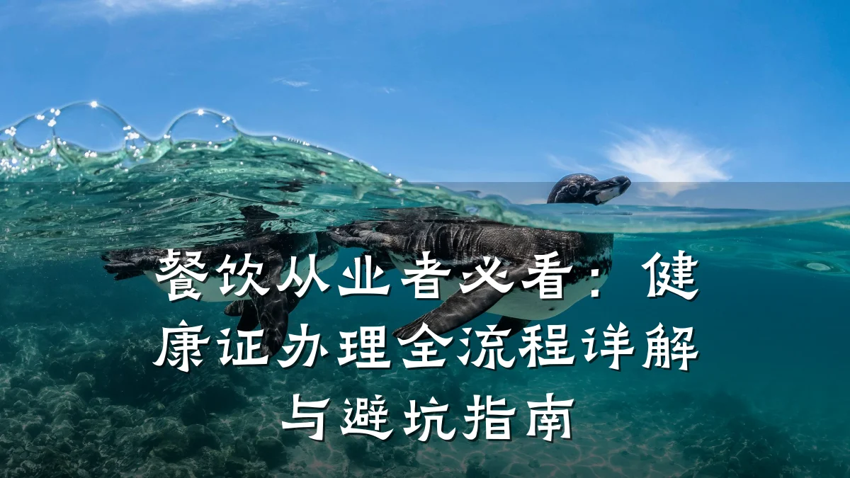 餐饮从业者必看:健康证办理全流程详解与避坑指南