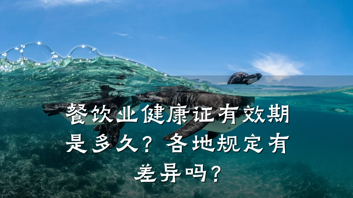 餐饮业健康证有效期是多久?各地规定有差异吗?