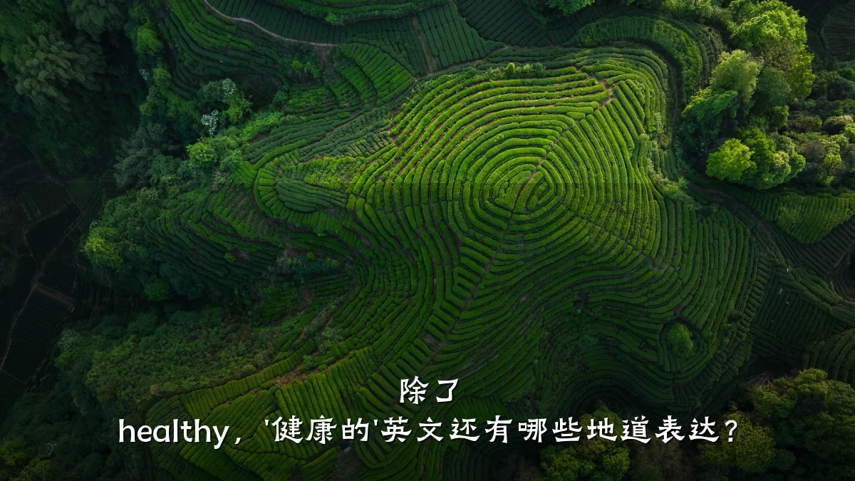 除了 healthy,'健康的'英文还有哪些地道表达?