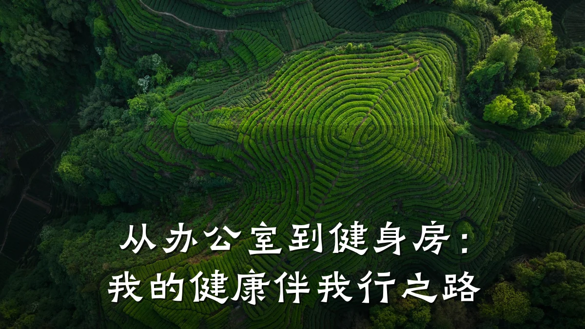从办公室到健身房:我的健康伴我行之路