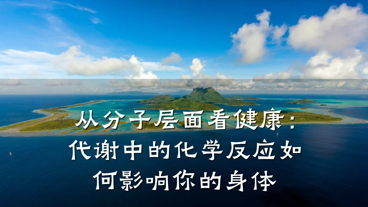从分子层面看健康:代谢中的化学反应如何影响你的身体