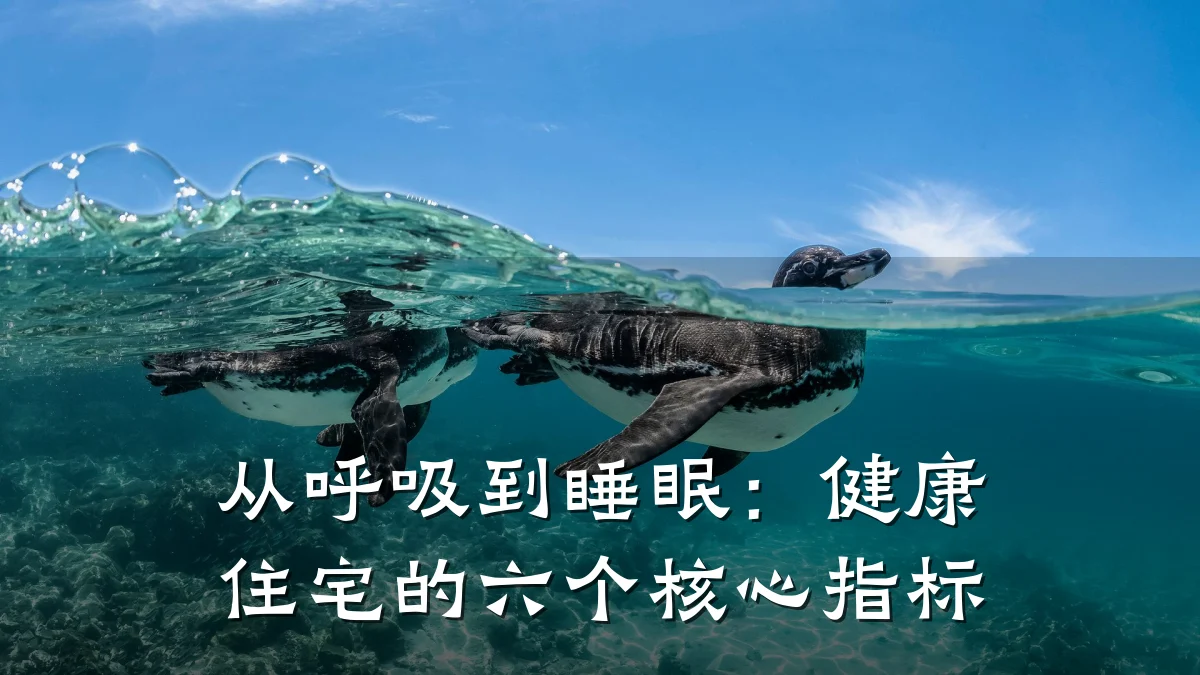 从呼吸到睡眠:健康住宅的六个核心指标