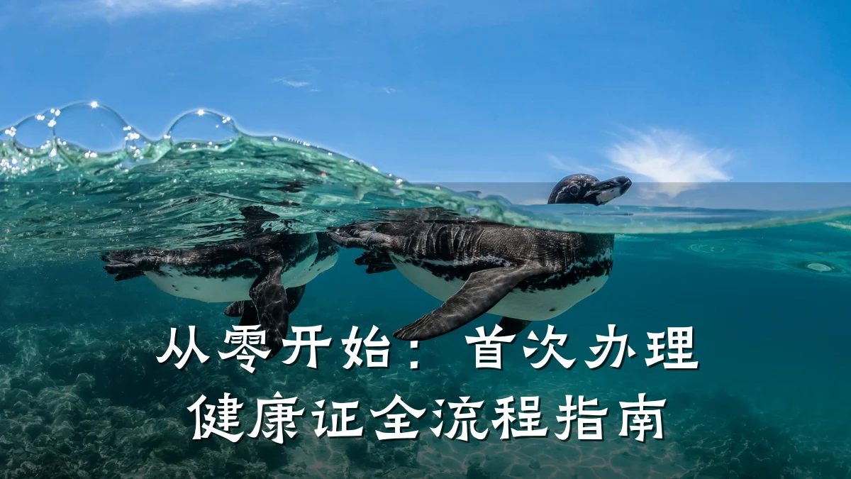 从零开始:首次办理健康证全流程指南