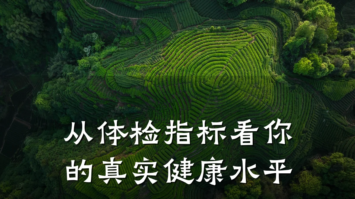 从体检指标看你的真实健康水平