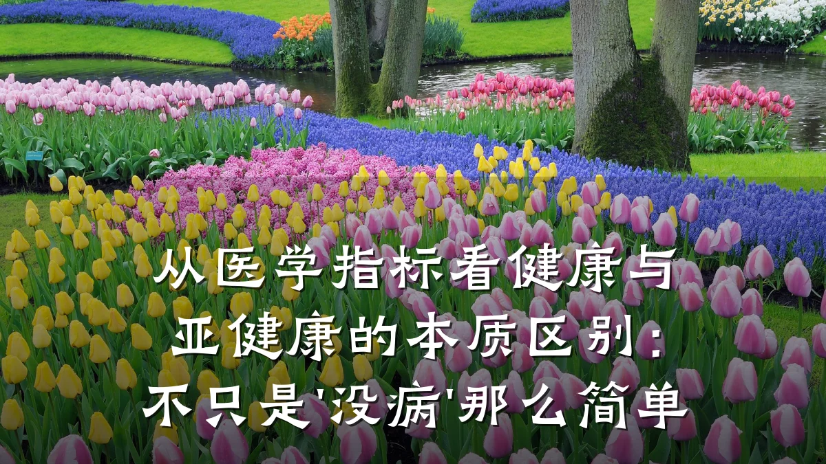 从医学指标看健康与亚健康的本质区别:不只是'没病'那么简单