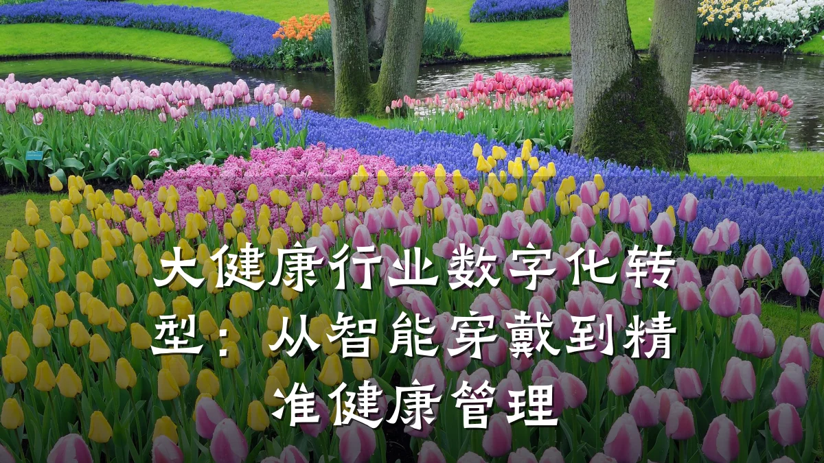 大健康行业数字化转型:从智能穿戴到精准健康管理